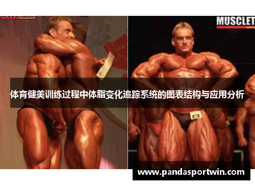 体育健美训练过程中体脂变化追踪系统的图表结构与应用分析